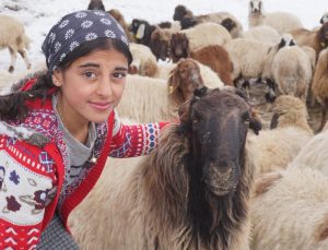 Şırnak’ta terörden temizlenen bölgenin küçük çobanı