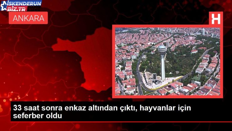 33 saat sonra enkaz altından çıktı, hayvanlar için seferber oldu