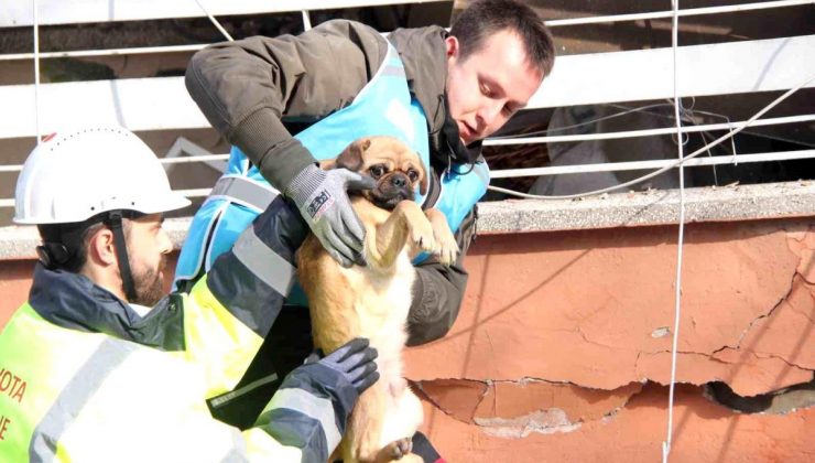 6 katlı bina enkazından sağ çıktı, depremzede bayan sahiplendi