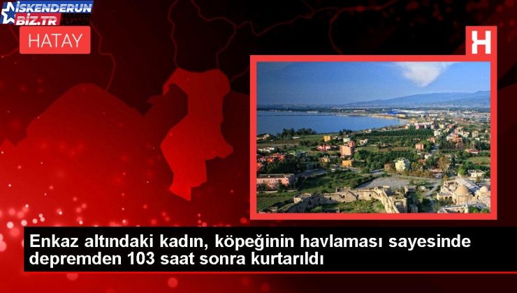 Enkaz altındaki bayan, köpeğinin havlaması sayesinde sarsıntıdan 103 saat sonra kurtarıldı