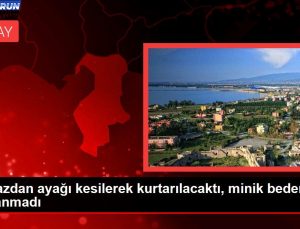 Enkazdan ayağı kesilerek kurtarılacaktı, minik vücudu dayanmadı