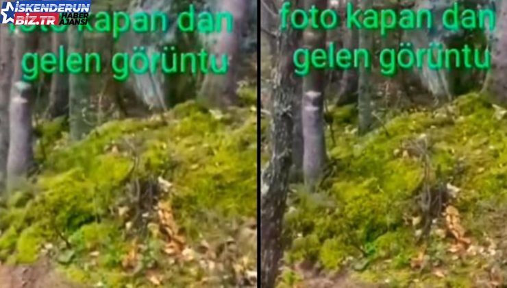 Görüntünün, zelzele sırasında Amanos dağlarında kaydedildiği argümanı hakikat değil