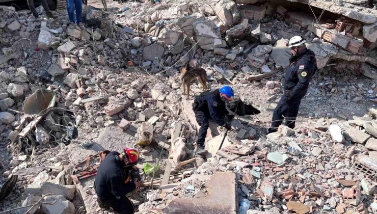 Hatay’da eğitimli köpekler toprak altında ‘can’ aradı