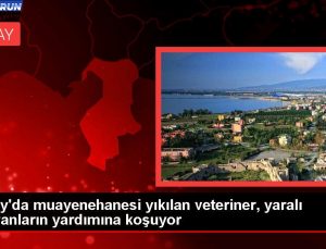 Hatay’da muayenehanesi yıkılan veteriner, yaralı hayvanların yardımına koşuyor