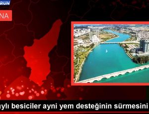 Hataylı besiciler birebir yem takviyesinin sürmesini istiyor