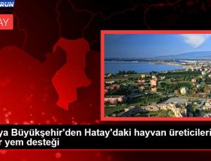 Konya Büyükşehir’den Hatay’daki hayvan üreticilerine 10 tır yem dayanağı