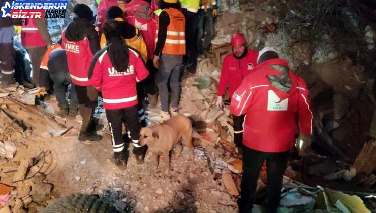 Sarsıntı bölgesindeki köpek Kızılay takımlarının maskotu oldu