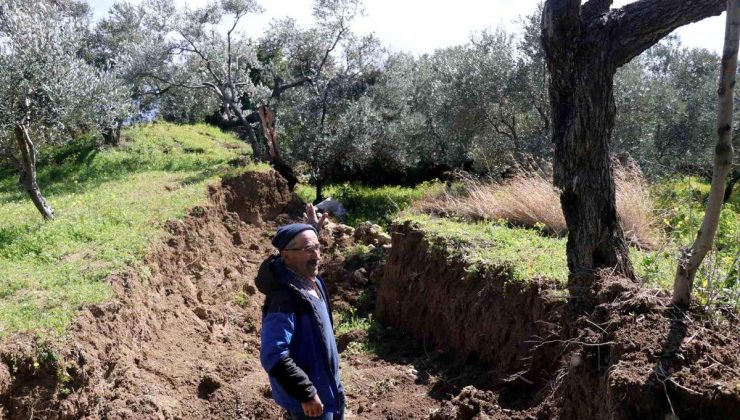 Hatay’da dev fay yarıkları ve çukurlar ağaçları yuttu