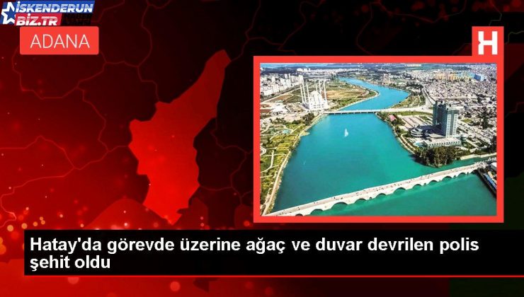 Hatay’da misyonda üzerine ağaç ve duvar devrilen polis şehit oldu