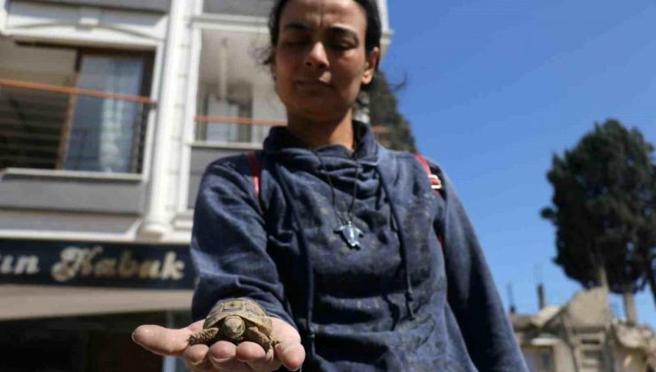 Hatay’da depremzede, ağır hasarlı meskenine girdiğinde gözlerine inanamadı