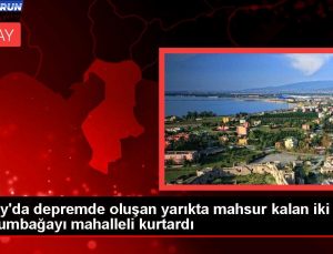 Hatay’da sarsıntıda oluşan yarıkta mahsur kalan iki kaplumbağayı mahalleli kurtardı