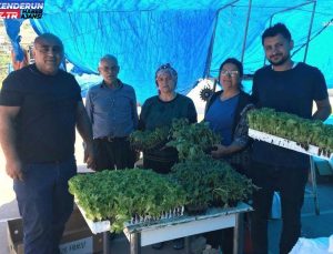 Bornova Belediyesi, Hatay’a 60 Bin Zerzevat Fidesi Gönderdi