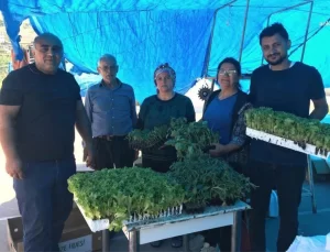 Bornova Belediyesi, Hatay’a 60 Bin Zerzevat Fidesi Gönderdi