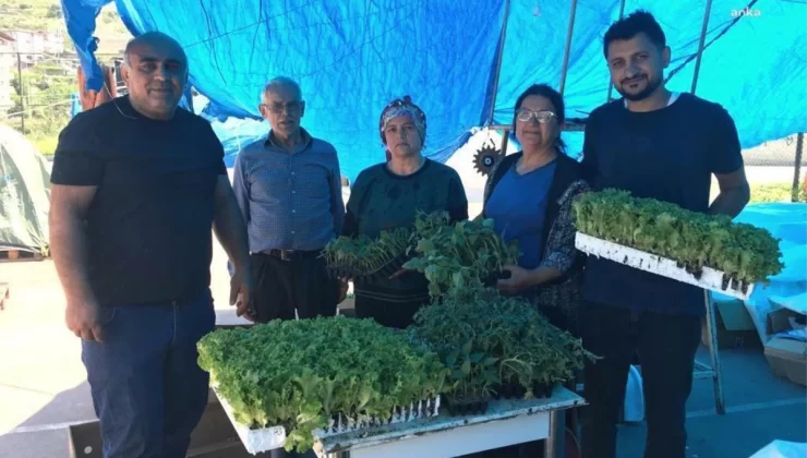 Bornova Belediyesi, Hatay’a 60 Bin Zerzevat Fidesi Gönderdi