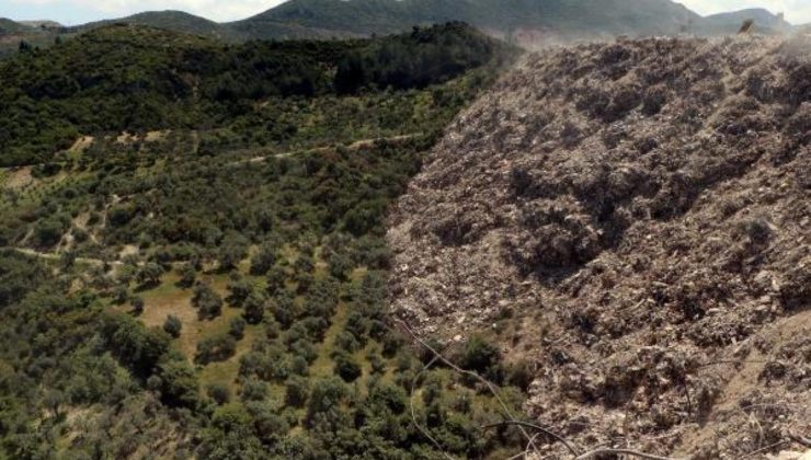 Hatay’da ormana ve zeytinliğe dökülen molozlar ağaçlara ziyan veriyor