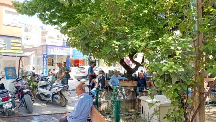 Hatay’da sıcak hava tesirli oluyor