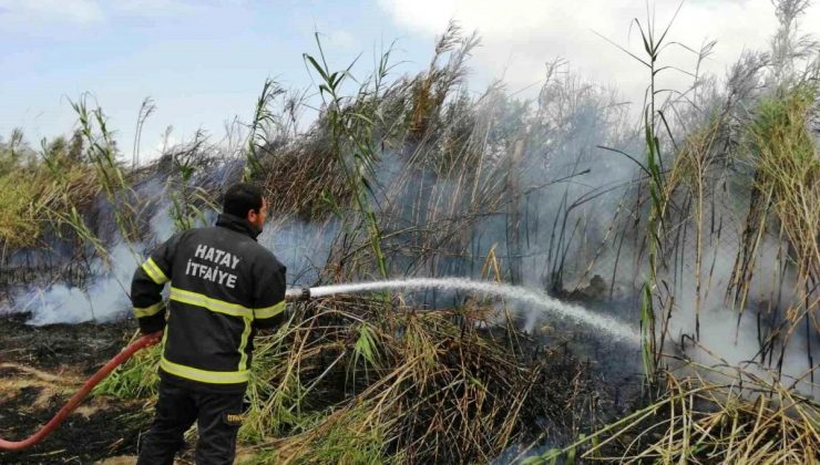 Hatay’ın Samandağ ilçesinde sazlık alanda çıkan yangın söndürüldü