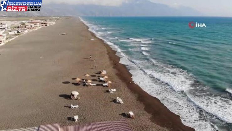 Afrika sıcaklarından kaçıp denize geldiler, yüzmek yerine izlemekle yetindiler