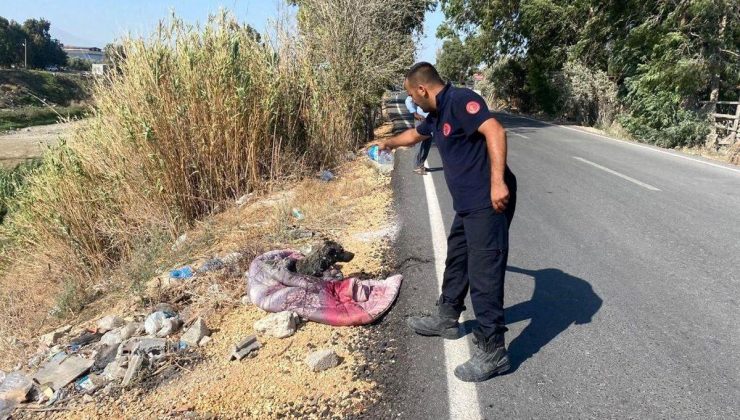 Antakya’da bataklığa saplanan köpek itfaiye tarafından kurtarıldı