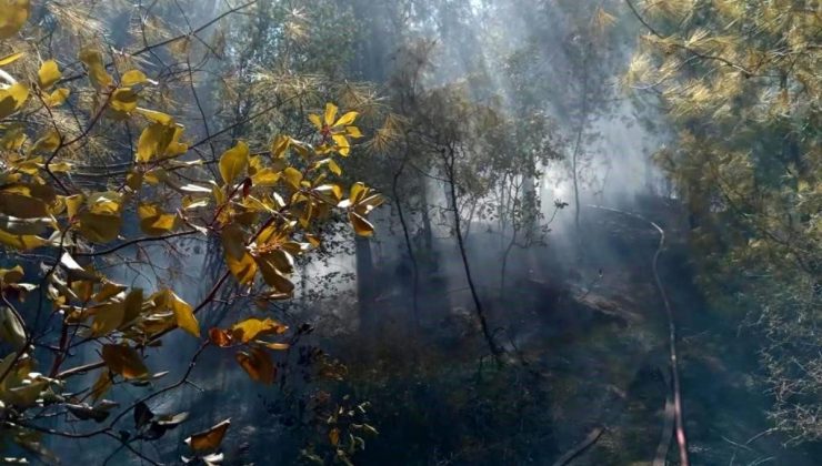 Antakya’da çıkan orman yangını süratli müdahale ile söndürüldü