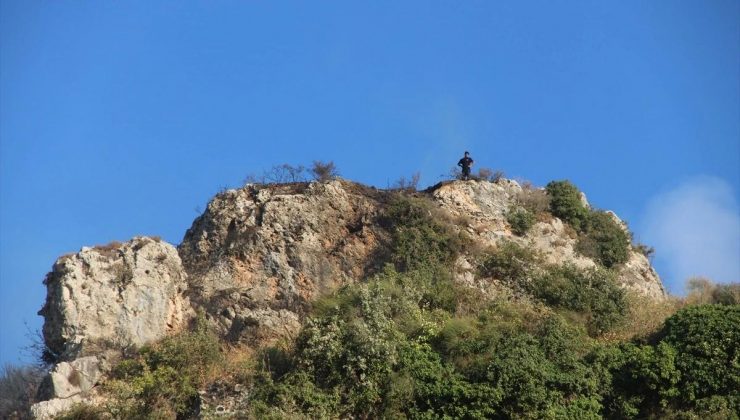 Antakya’da çıkan yangın denetim altına alındı