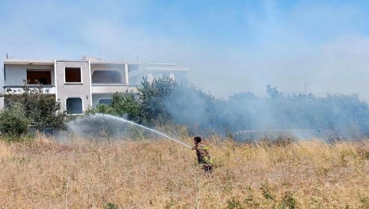 Antakya’da çıkan yangında kaplumbağa kurtarıldı