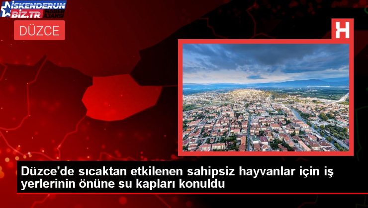 Düzce’de sahipsiz hayvanlar için su kapları yerleştirildi