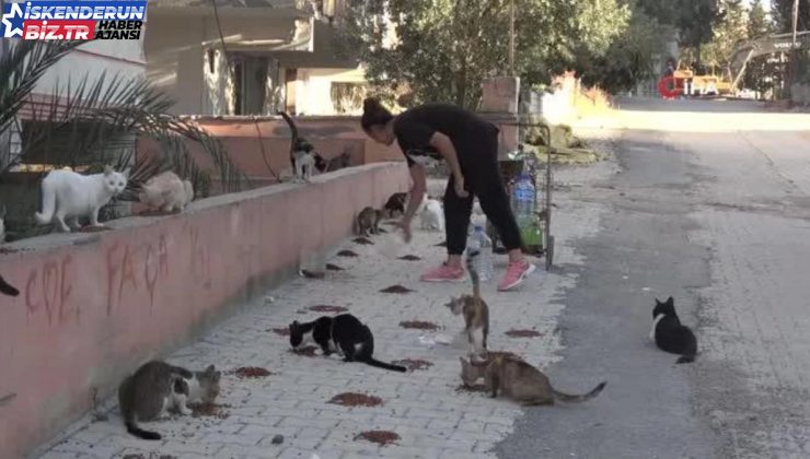 Enkaz kentin kedilerinin Gürcü annesi