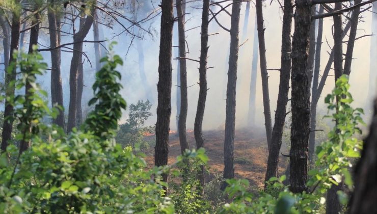 Hatay Belen’deki Orman Yangınına Havadan ve Karadan Müdahale Devam Ediyor