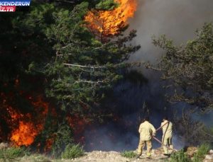 Hatay yangın söndürüldü mü? Son dakika! Hatay yangını neden çıktı? Hatay yangın son durum ne?