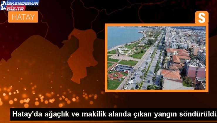 Hatay’da ağaçlık ve makilik alanda çıkan yangın söndürüldü