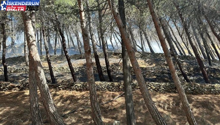 Hatay’da çıkan orman yangını büyümeden söndürüldü