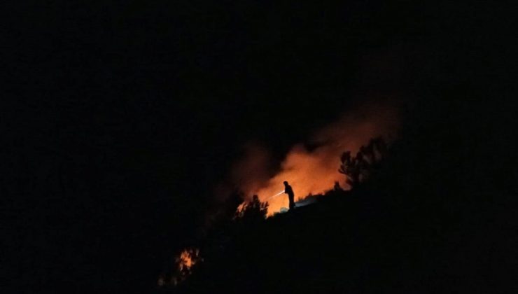 Hatay’da makilik alanda çıkan yangın söndürüldü