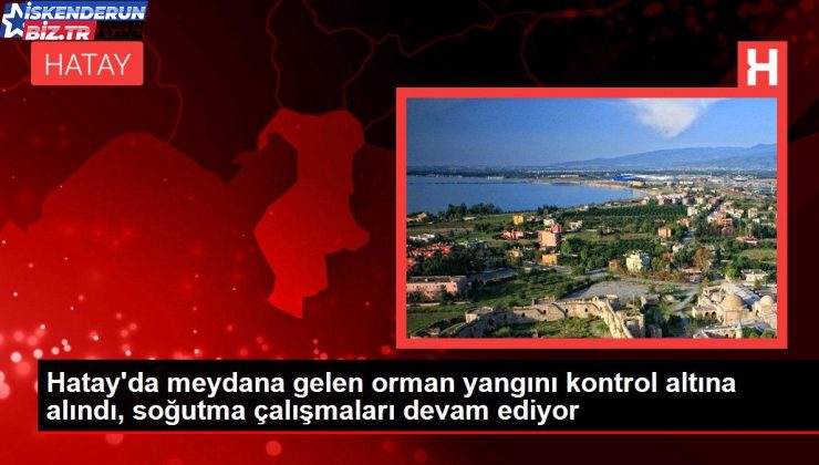 Hatay’da meydana gelen orman yangını denetim altına alındı, soğutma çalışmaları devam ediyor