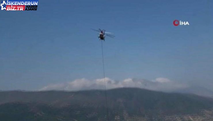 Hatay’da orman yangını