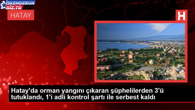 Hatay’da orman yangını çıkaran şüphelilerden 3’ü tutuklandı, 1’i isimli denetim koşulu ile hür kaldı