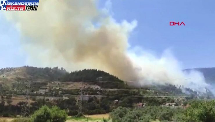 HATAY’DA ORMAN YANGINI DENETİM ALTINA ALINDI