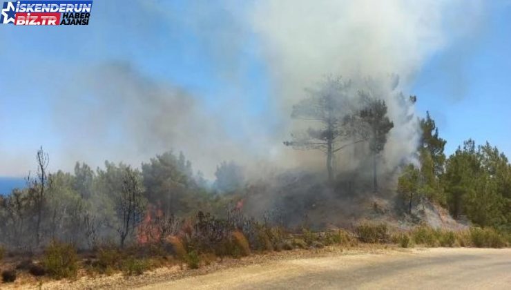 Hatay’da Orman Yangını Denetim Altına Alındı