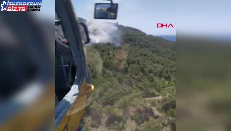 Hatay’da Orman Yangını Denetim Altına Alındı