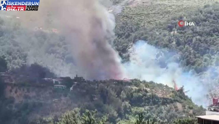 Hatay’da orman yangını: Havadan ve karadan müdahale ediliyor