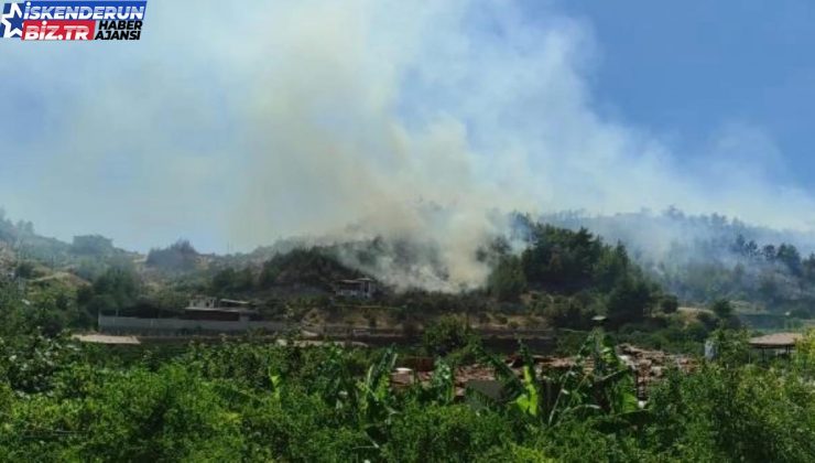 Hatay’da Ormanda Çıkan Yangın Denetim Altına Alındı