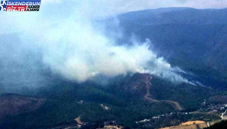 Hatay’da ormanlık alanda çıkan yangına havadan ve karadan müdahale