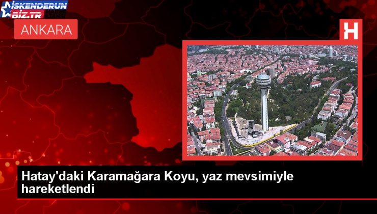 Hatay’da tabiatta serinlemek isteyenler Karamağara Koyu’na akın etti