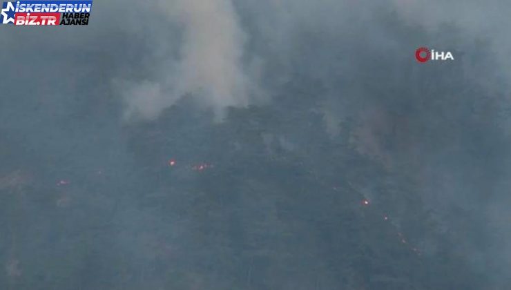 Hatay’daki orman yangına havadan müdahale tekrardan başladı