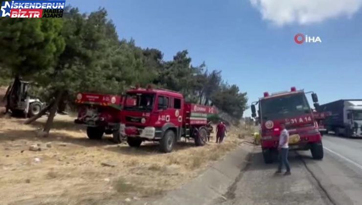 Hatay’daki orman yangını büyümeden söndürüldü