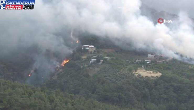 Hatay’daki orman yangınına müdahale sürüyor