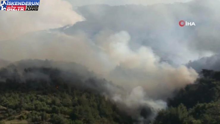 Hatay’daki orman yangınına müdahale sürüyor