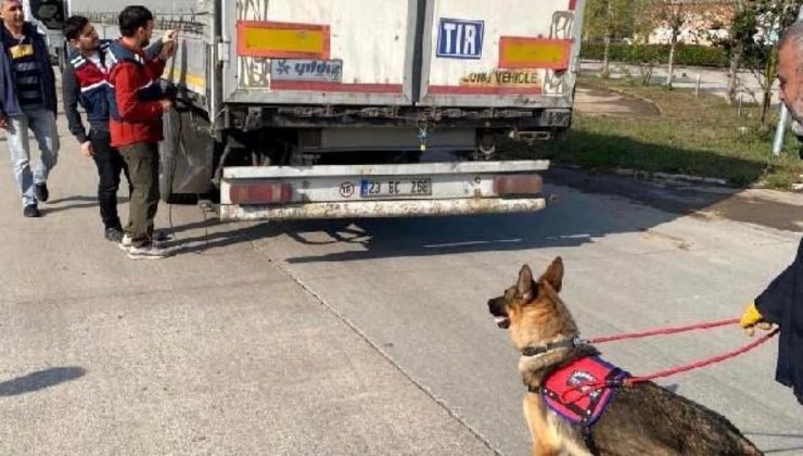 İçişleri Bakanı: Sakarya ve Hatay’da 39 Göçmen Kaçakçılığı Organizatörü Yakalandı