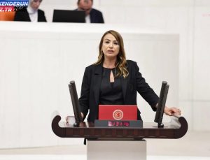 Nermin Yıldırım Kara: “Hatay’ın Tekrar Kalkınması İçin İhracatçılar, Endüstriciler ve Öbür Yatırımcılara Düzgünleştirici İmtiyazlar Acilen…