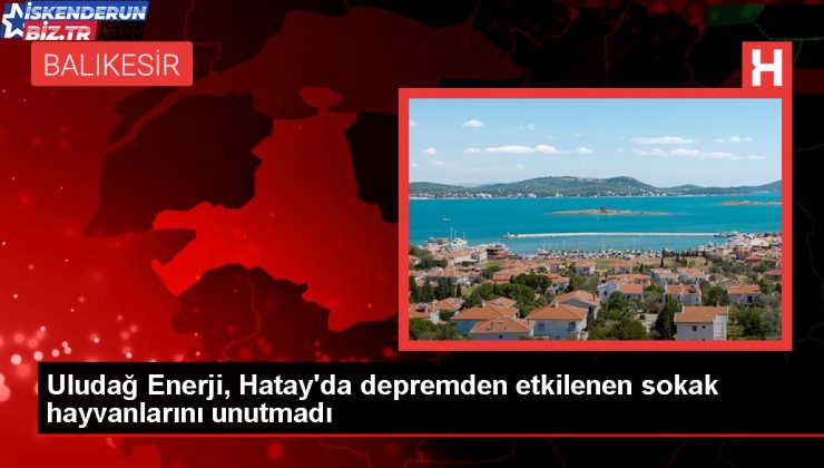 Uludağ Güç, Hatay’da sokak hayvanlarına takviye projesi başlattı